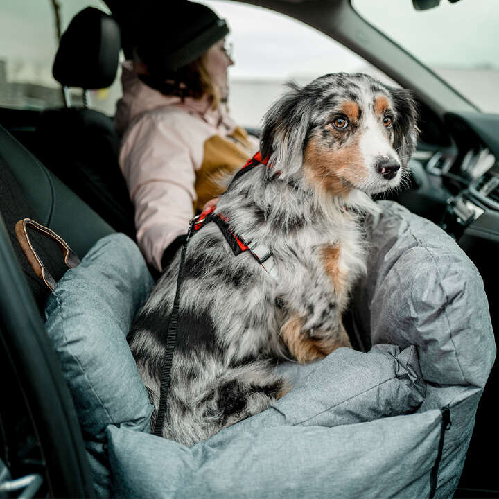Nobby Auto-Reisebett BENA für Hunde